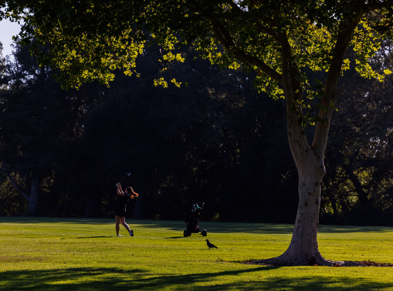 Big Game Girl's Golf